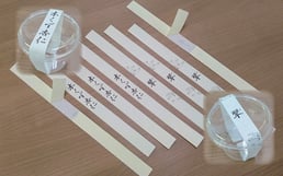 デザートカップ用帯シール