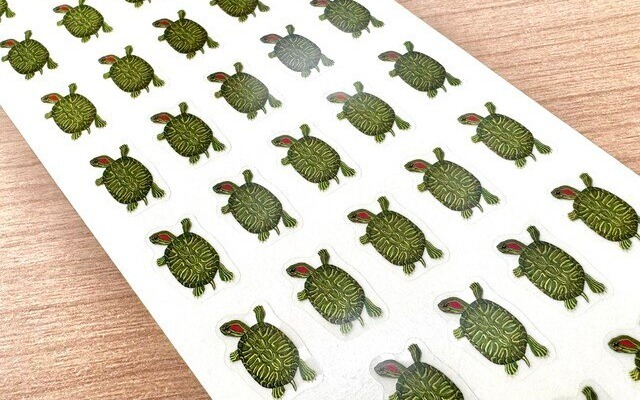 case_540 L6105SZ2 アカミミガメ　変形