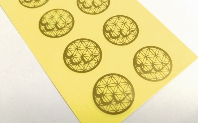 case_547 L6105TF3 EL透明フィルム　ホットスタンプ（艶金箔）　EL