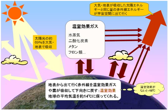 lab_describe_68_03