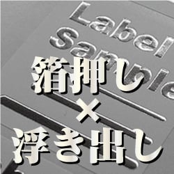 lab_main_case26